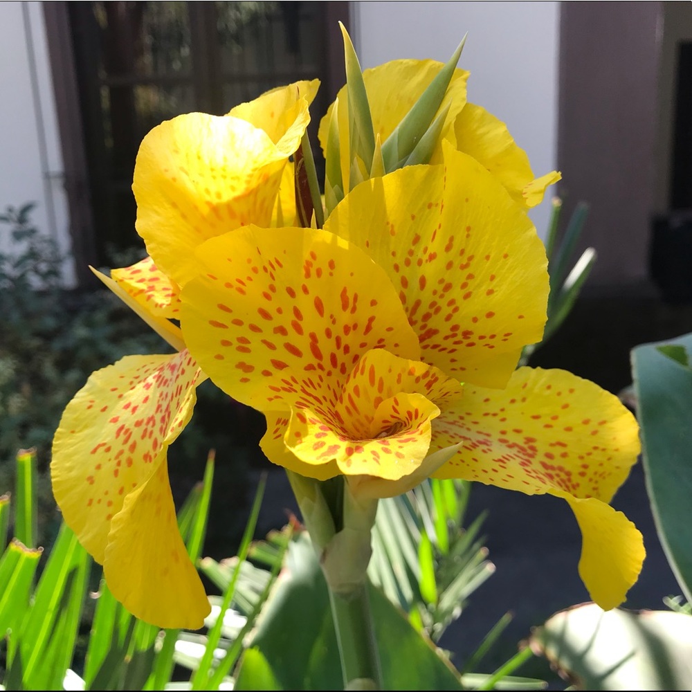 Meet your Posher, Valerie